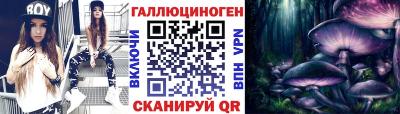 где найти   Алушта  Галлюциногенные грибы GOLDEN TEACHER 